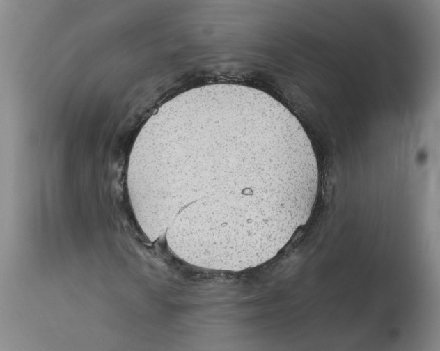 X0000113141010200910021435