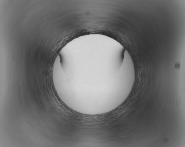 X0000113141012200910021435