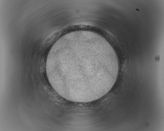 X0000113141014200910021435
