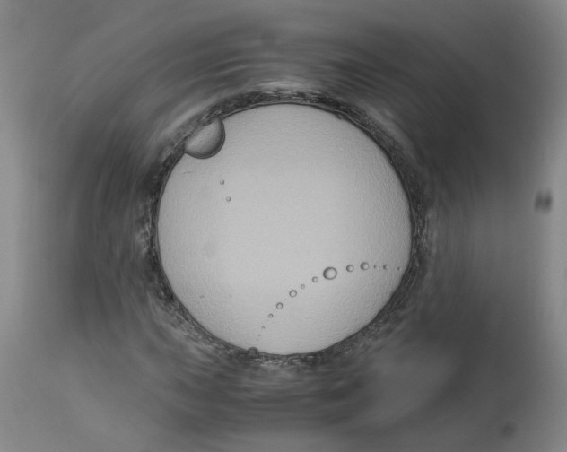 X0000113141015200910021435