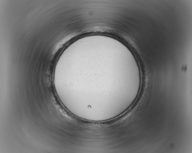 X0000113141018200910021435