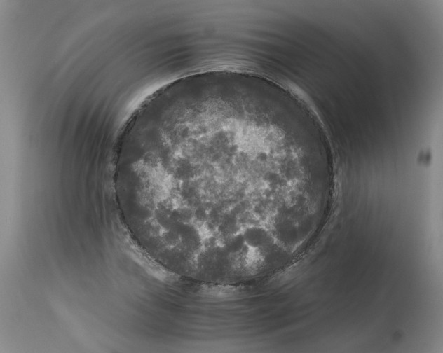 X0000113141019200910021435
