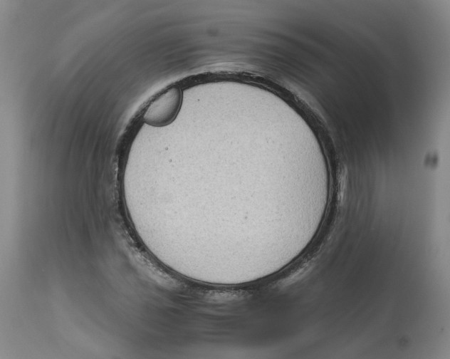 X0000113141021200910021435