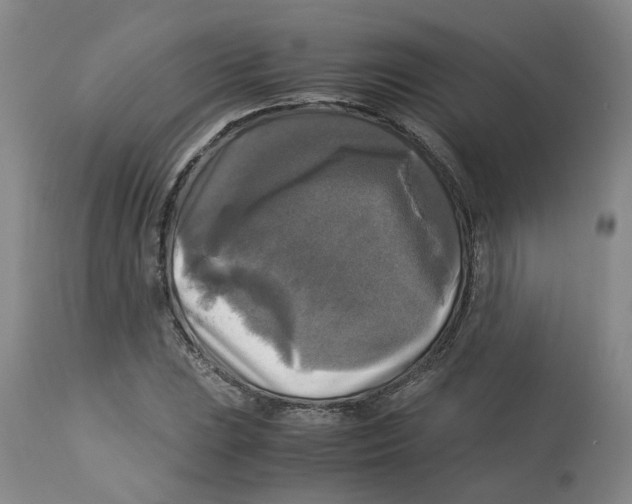 X0000113141023200910021435