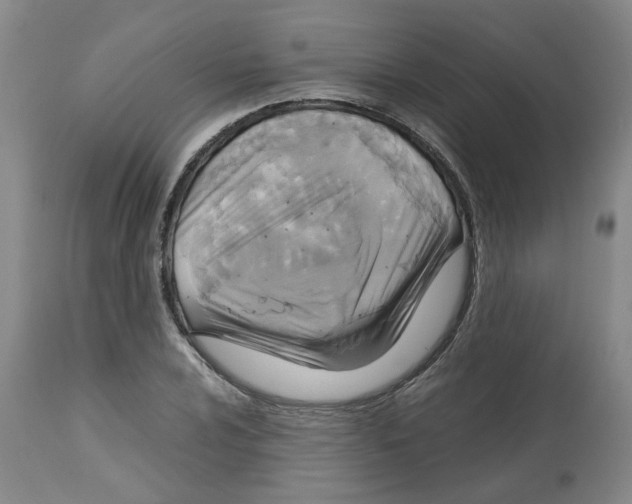 X0000113141024200910021435