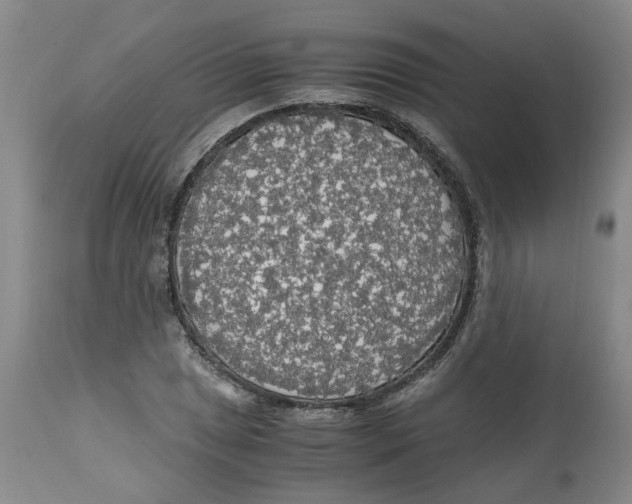 X0000113141025200910021435
