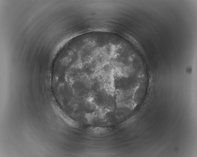 X0000113141027200910021435