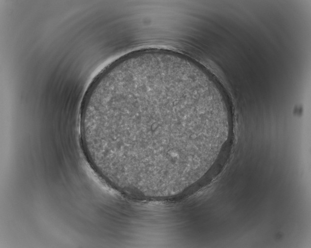 X0000113141028200910021435