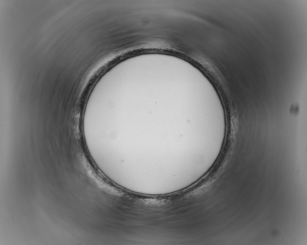 X0000113141029200910021435