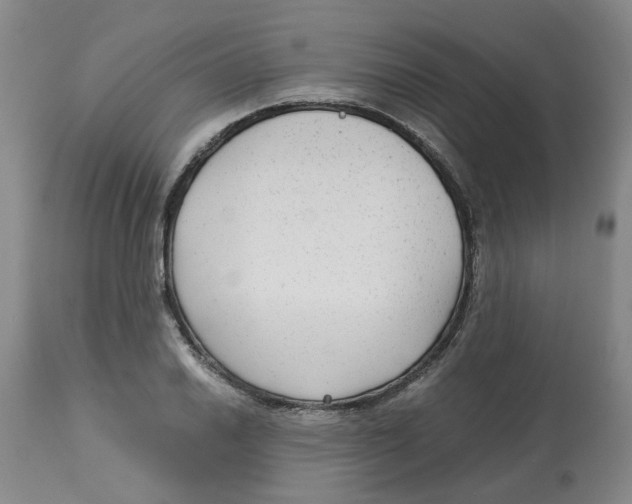 X0000113141030200910021435