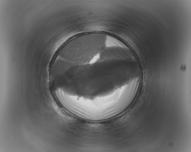 X0000113141031200910021435