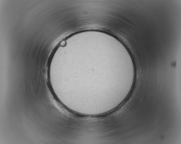 X0000113141034200910021435