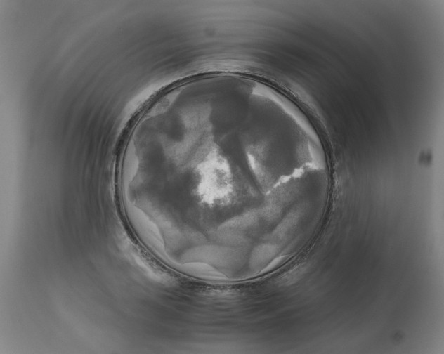 X0000113141035200910021435