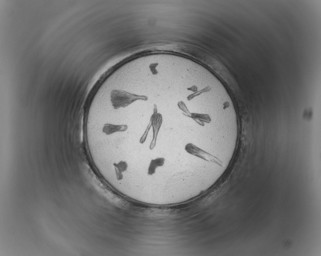 X0000113141036200910021435