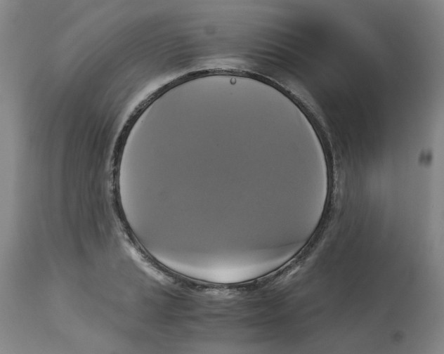 X0000113141037200910021435