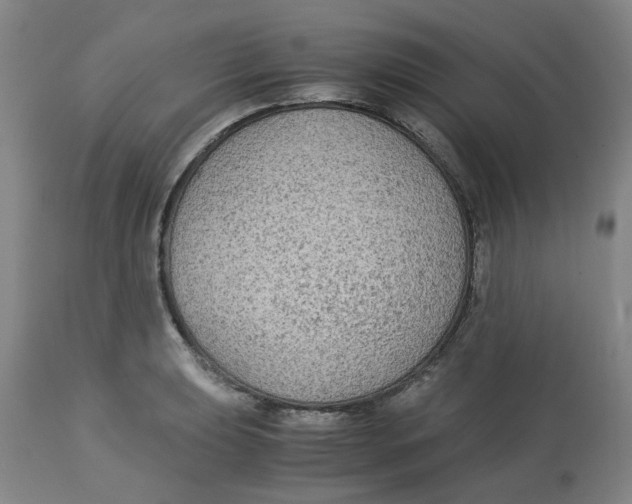 X0000113141039200910021435