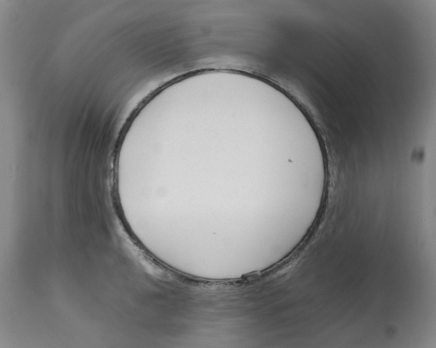 X0000113141040200910021435