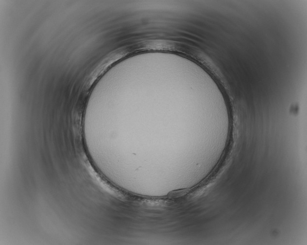 X0000113141041200910021435