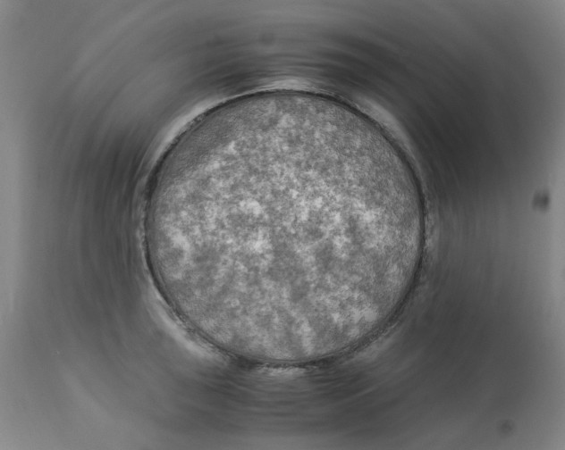 X0000113141043200910021435