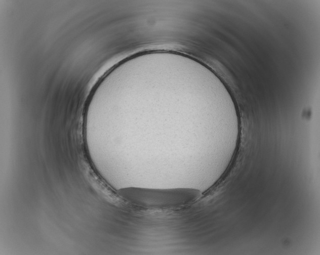 X0000113141044200910021435