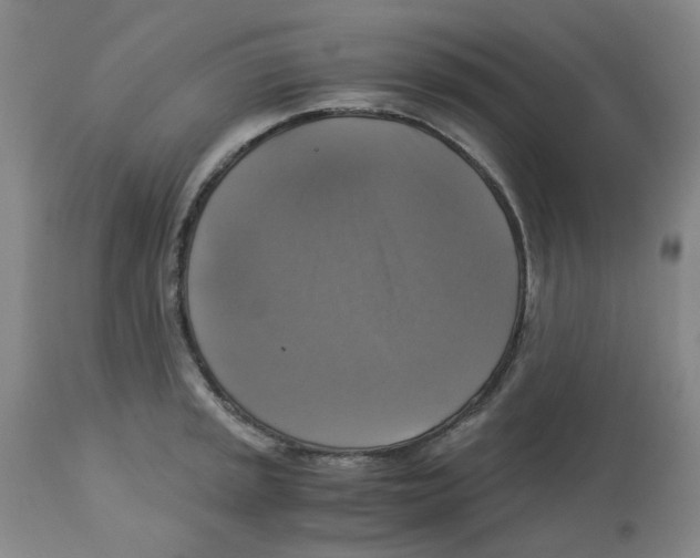 X0000113141045200910021435