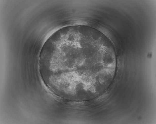 X0000113141047200910021435