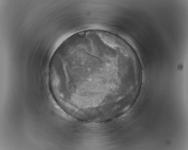 X0000113141048200910021435