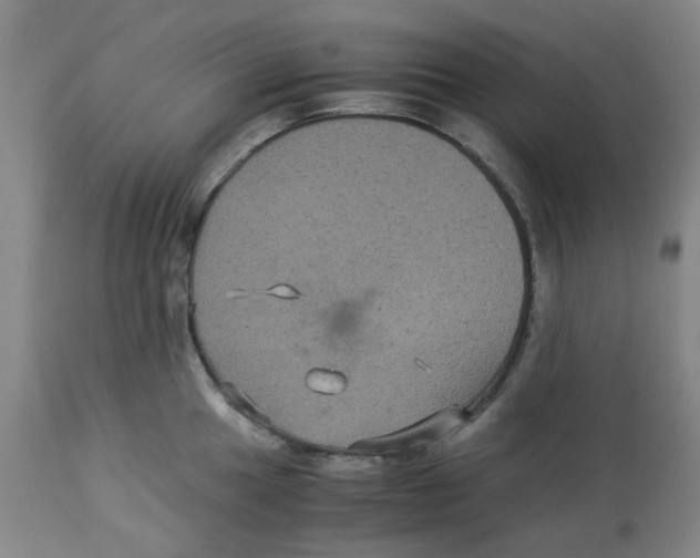 X0000113141049200910021435