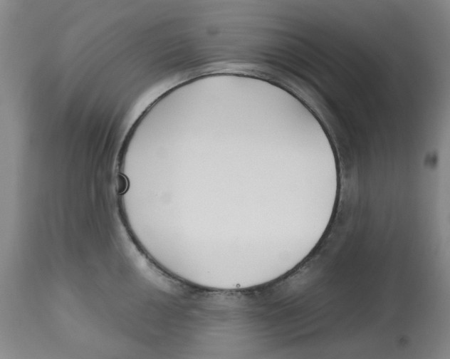 X0000113141050200910021435