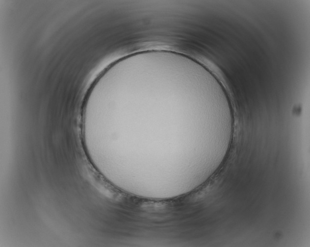 X0000113141051200910021435