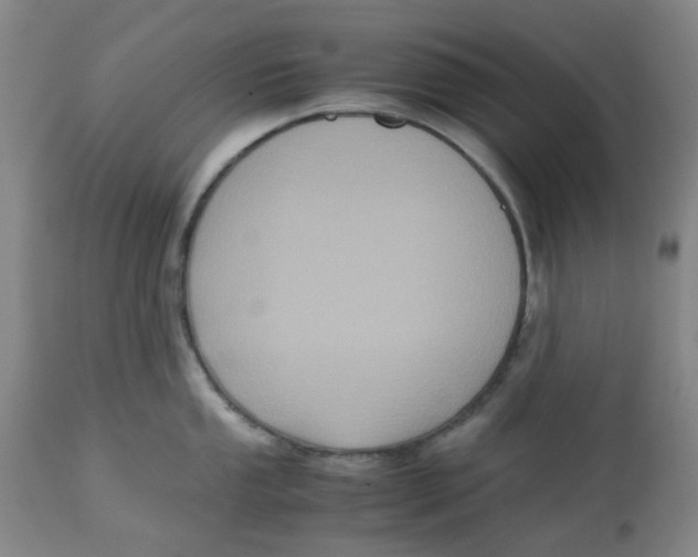 X0000113141053200910021435