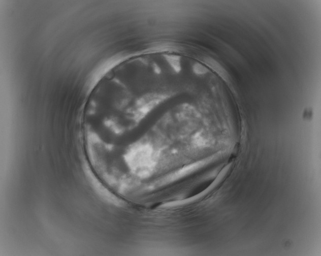 X0000113141055200910021435