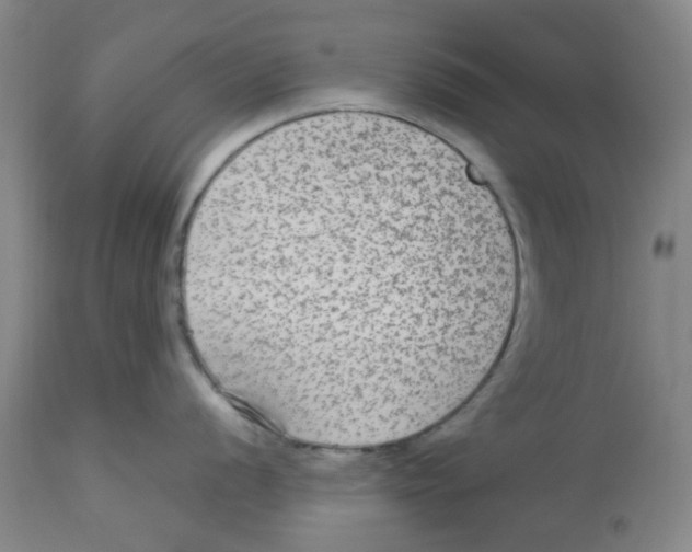 X0000113141056200910021435