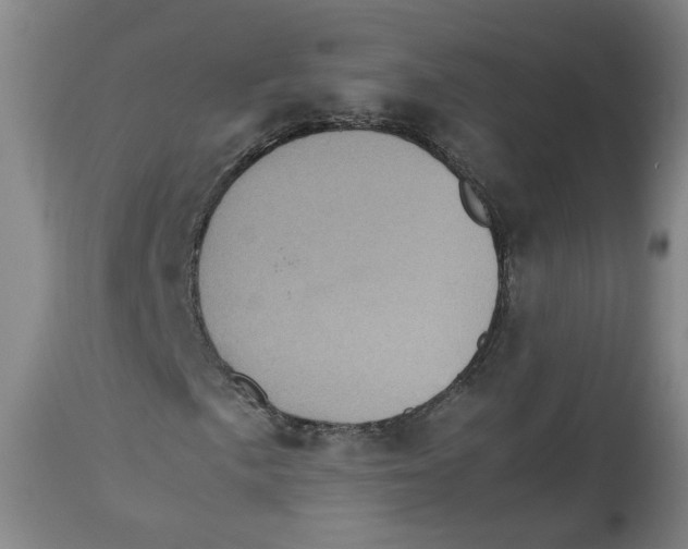 X0000113141057200910021435