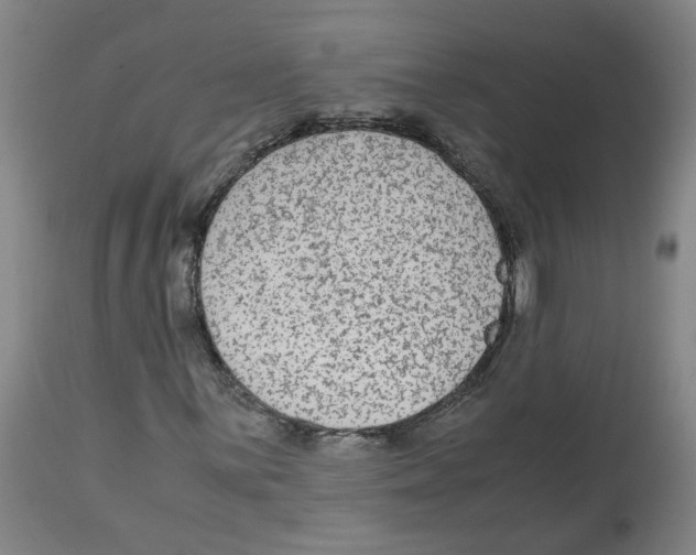 X0000113141059200910021435