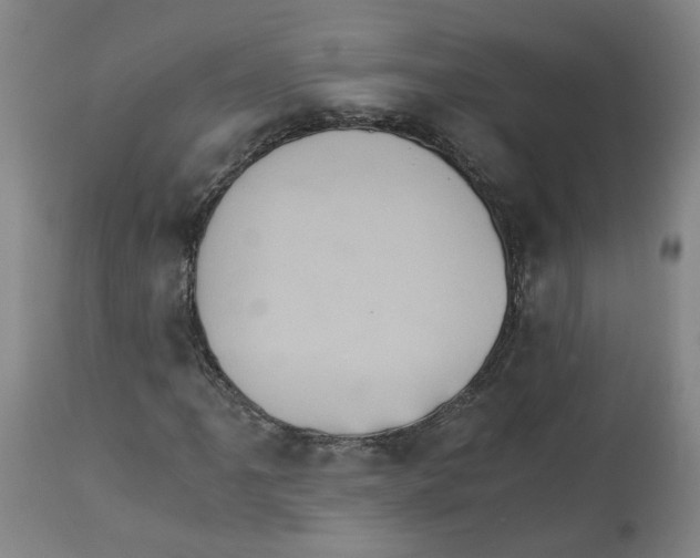 X0000113141061200910021435