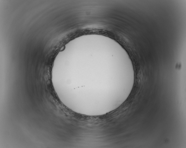 X0000113141062200910021435