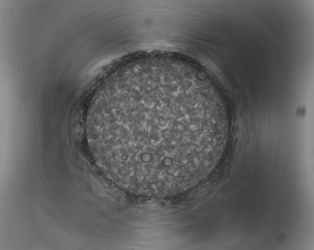 X0000113141063200910021435