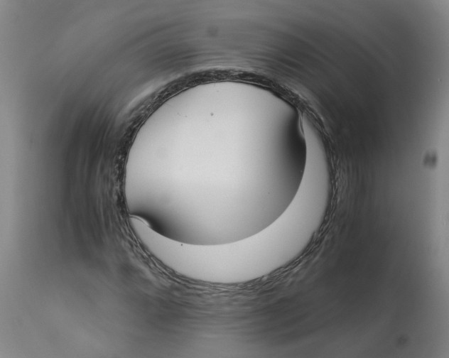X0000113141064200910021435