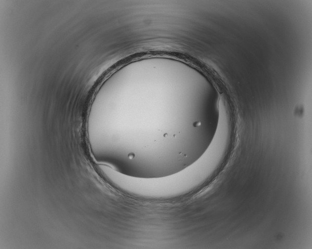 X0000113141065200910021435