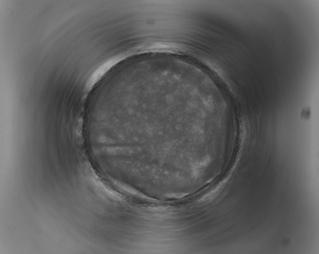 X0000113141066200910021435