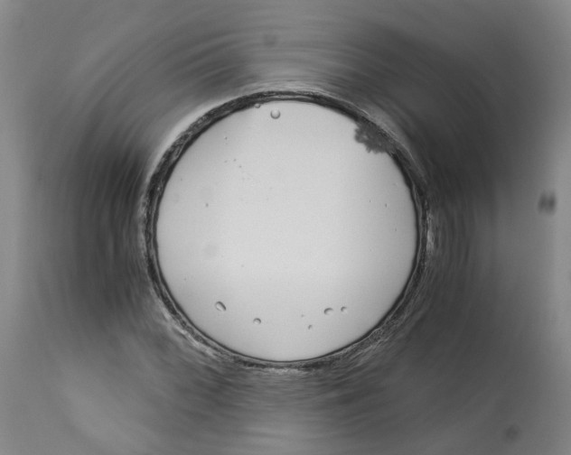 X0000113141068200910021435