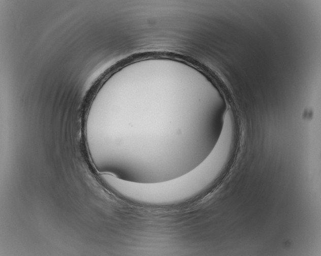 X0000113141069200910021435