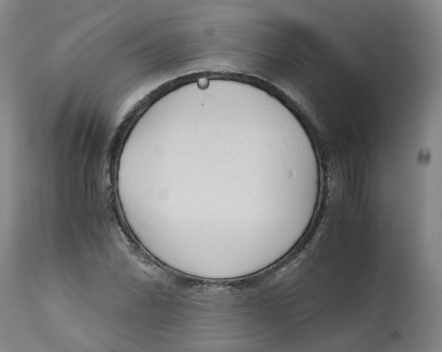 X0000113141070200910021435