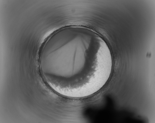 X0000113141071200910021435