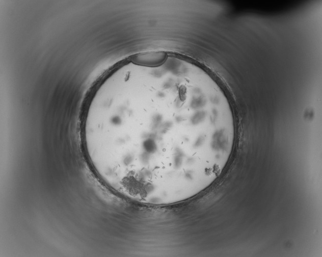 X0000113141072200910021435