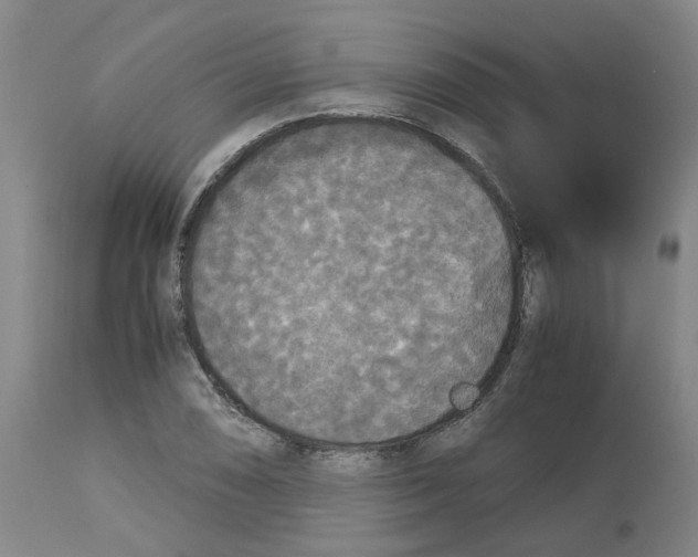 X0000113141074200910021435