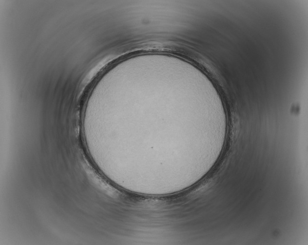 X0000113141075200910021434