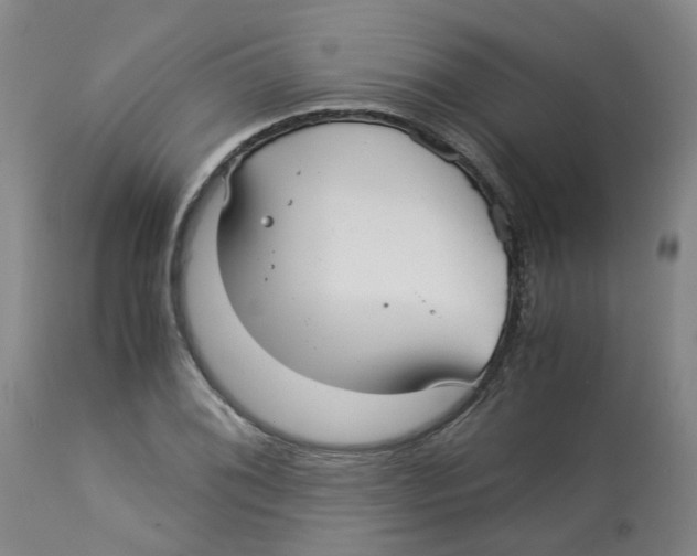 X0000113141076200910021434