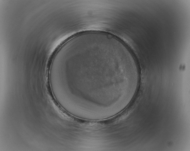 X0000113141077200910021434